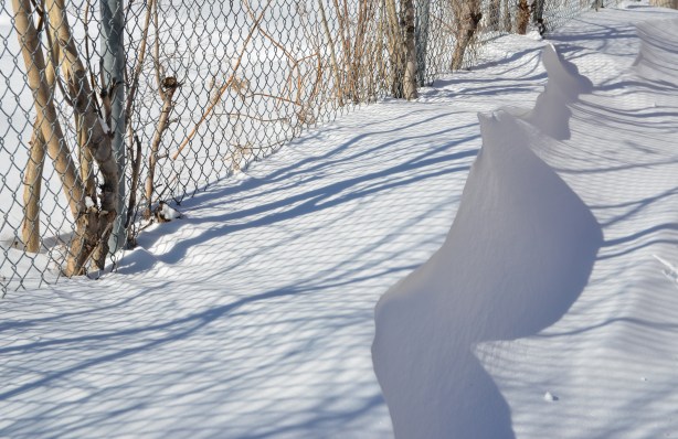 After a snowfall, snowdrifts against a chainlink fence on Gilead Place