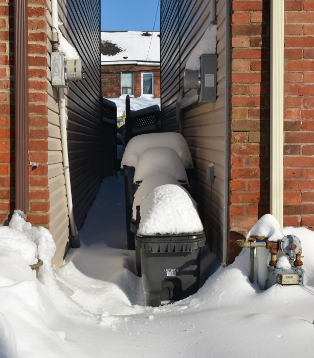 A line of garbage bins between two houses.