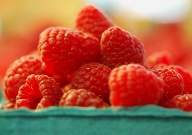 a pint box of fresh raspberries 