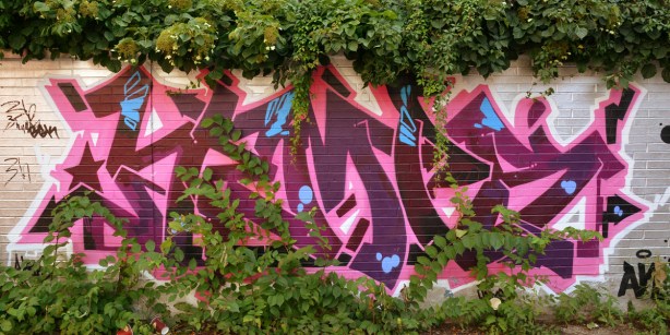 The alley changes with the seasons.  Even here there is greenery.