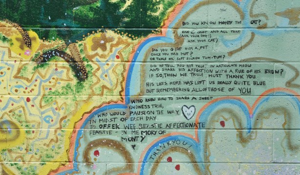 Did you know our Monty the cat? King of Croft and all that (Ask your dog.  Ask your cat) Did you give him a pet Once you had met? Or tickle his soft silken tum tum? Did he tell you his tale in articulate meow And share his affection with a rub of his brow? His loss here has left us really quite blue But remembering all of those of YOU Who knew how to share a sweet kindness true Who would pause on the way,  In midst of each day, To offer wee beastie  affectionate feastie In Memory of Monty Thank you!