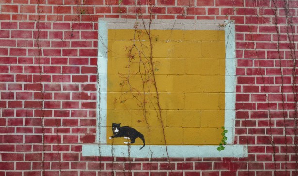 Mural painted on the side of a garage.  It has been painted to look like a red brick wall.  In the wall is a yellow window and a black cat is standing on the window sill. 