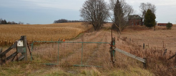 a locked green metal gate across a long driveway. At the end of the driveway is an old red brick farmhouse with a front door that is falling off.