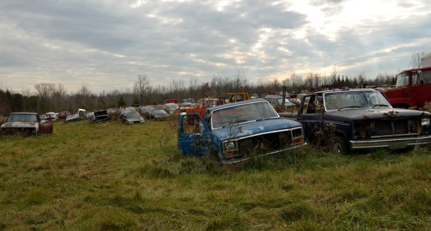 A field with rows of abandoned cars and trucks. 