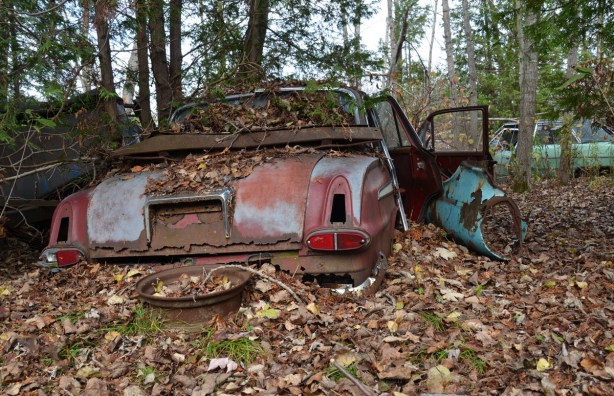 A rusty old car in the woods. Its doors are open.