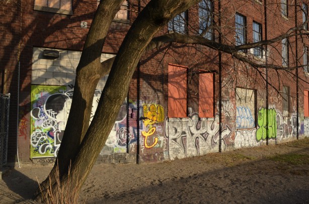 a large tree is in the foreground and it is casting a shadow over the wall of a red brick building that has graffiti on it.