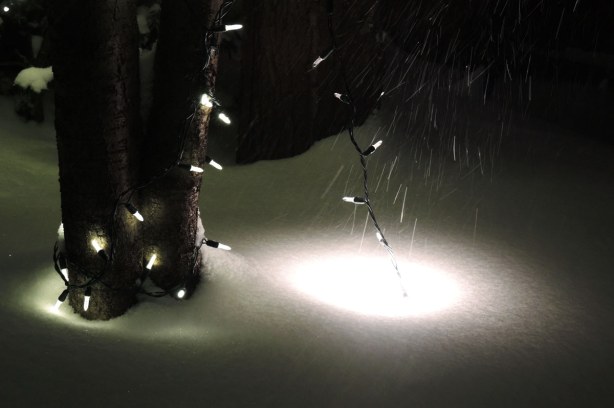Snow covered ground lights make round patches of light in the snow. Small white Christmas lights are wrapped around a small tree trunk. The wind is blowing snow across the lights.