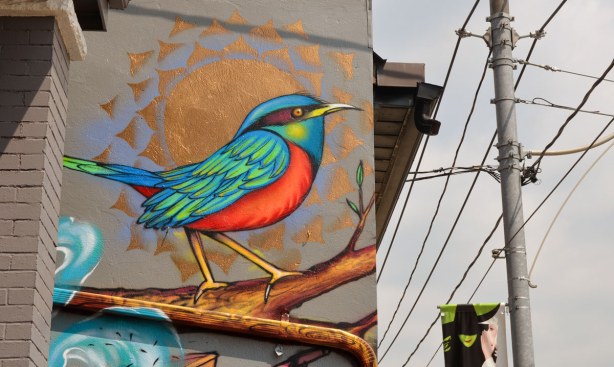 large painting of a red and blue bird on the side of a house.  Hydro wires are also in the photo 