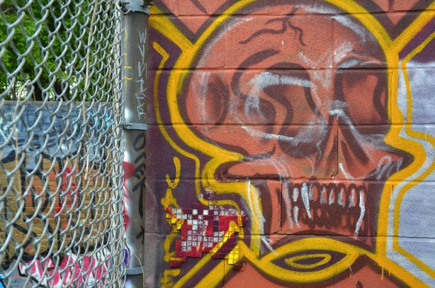 Graffiti of a pinkish face with bared teeth. CHainlink fence on the left of the photo.