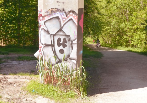 flower face in black, grey and white, on the side of a support pillar, Bathurst St. over Cedarvale Park,graffiti under the bridge