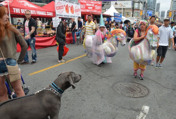 A dog, a Great Dane, is standing in front of two women dressed as clowns on pink and white ponies. The dog has barked at them and they are reacting by making faces and moving back