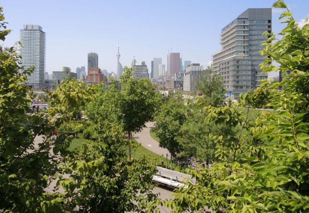small trees and other greenery , with a path and bench in the middle, in the foreground and the Toronto skyline is in the background. 