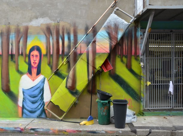 The top part of a woman with long black hair and wearing a white and blue dress is standing amongst many tree trunks.... Colourful graffiti in a Kensington lane. There is a broom, a mop, and two large buckets on the sidewalk in front of her.