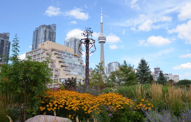 Black eyed Susan flowers in the foreground, some taller buildings including the CN tower in the background. There is also a tall thin sculpture (decorated pole?) in the picture