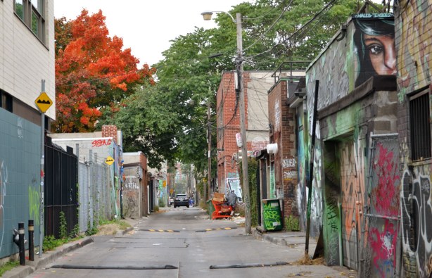 looking down an alley with old garages on either side. A tree with orange and red leaves is in the picture too.