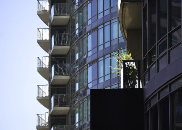 Two tall condo buildings.  Sun is reflecting off the balconies of the condo in background.  In the foreground is a balcony with a large plant.  Sun is shining directly on the plant so it looks like it is in a spotlight. 