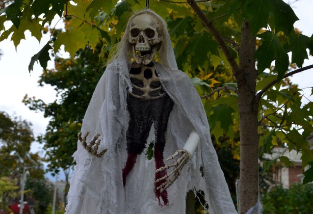A skull, two boney hands and some black cloth and some billowing white gauze, all hanging from a tree,
