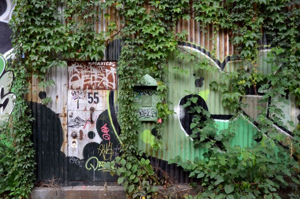 A corrugated metal wall that is partially obscured by vines.  Under the vines is a green graffiti tag.  There is also a door in the wall with the number 55 on it.  It is someone's home.  There is also a mailbox. 