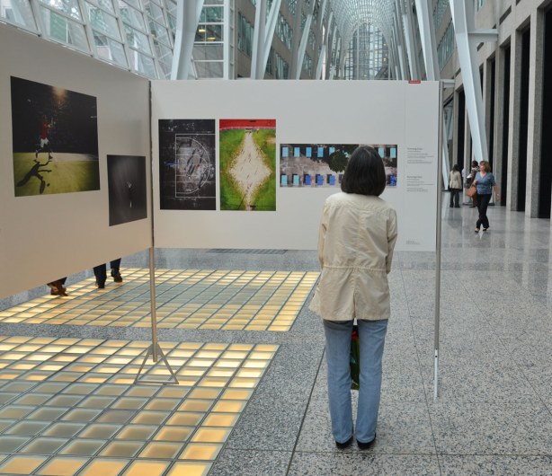 blog_wwp_looking_shadows