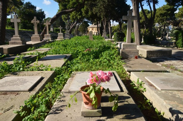 tombstones in a cemetery including one that has a pot of pink flowers on it.