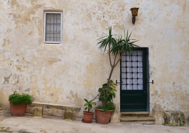 Potted plants beside a doorway in an old limestone building where nothing is straight.