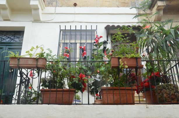 Many small SAnta Claus decorations are climbing up the bars of a balcony. The balcony has a lot of plants on it too.