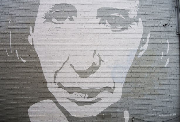mural of a very large grey and white face on the side of a brick building
