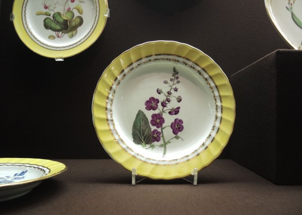 yellow rimmed plates with pictures of flowering plants in the center