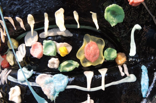 blog_gumhead_eyelashes