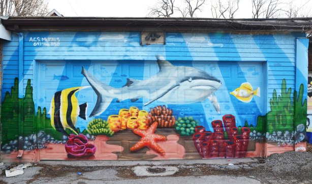 mural on a garage door in an alley of a marine scene.  A large grey and white shark is swimming along with a yellow and black angel fish.  There is a pink starfish and some coral as well. 