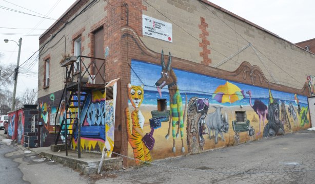 Destination Mammals Cabana mural,