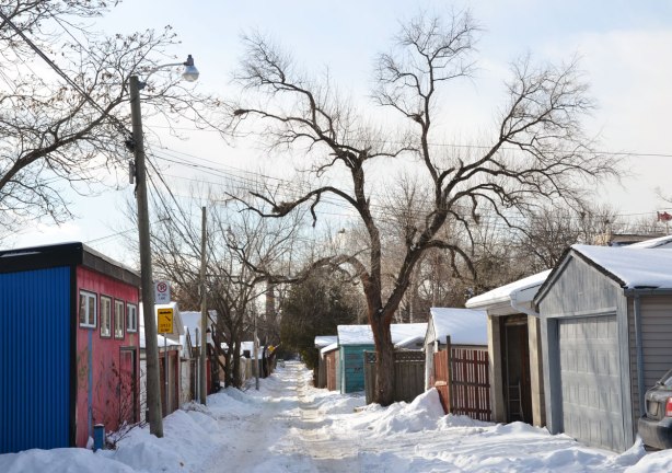 An interesting shaped tree with many large branches in a snow covered alley with garages along both sides of the alley. 