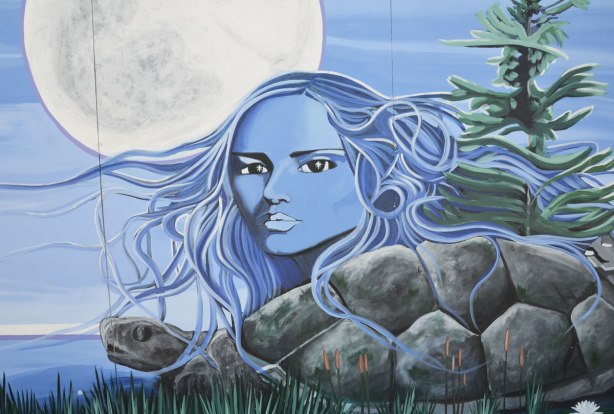 part of a First Nations story/legend themed mural painted on wood construction hoardings in Allan Gardens, blue woman's face, she is loking at the viewer, her long hair blowing in the breeze, rocks below her