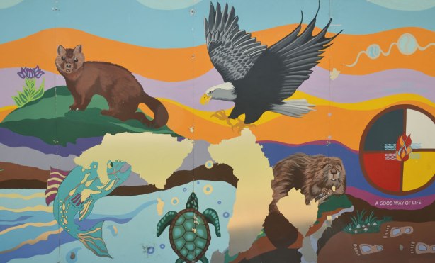 part of a First Nations story/legend themed mural painted on wood construction hoardings in Allan Gardens - animals, beaver, turtle, eagle, bird, 