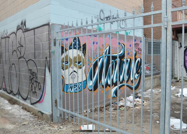 A white cat head, wearing a crown. Sad face on the cat. Large letters spelling "annie" written beside the cat. She is behind a locked metal bar gate.