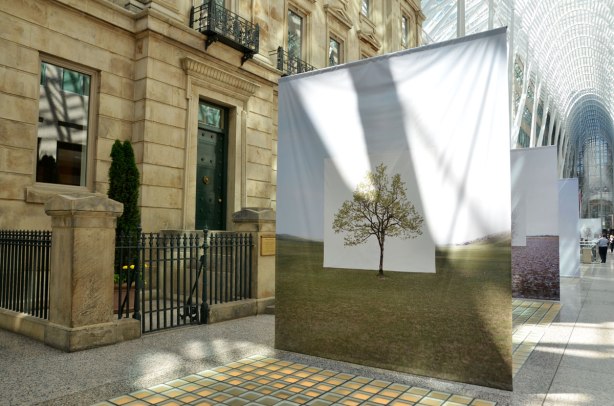 large banner with a photograph of a tree against a white background hangs in Brookfield Place with its high rounded glass and white steel ceiling. 