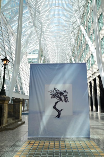 large banner with a photograph of a tree against a white background hangs in Brookfield Place with its high rounded glass and white steel ceiling. 