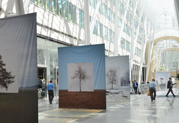 Three large banners  photographs of a tree against a white background hangs in Brookfield Place with its high rounded glass and white steel ceiling.   Some people walking past, ignoring the pictures