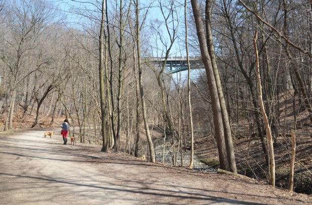 trail beside a creek in a ravine with lots of trees in early spring before there are any leaves on the trees.  A woman is walking two dogs on the trail and in the distance there is a bridge over the ravine. 