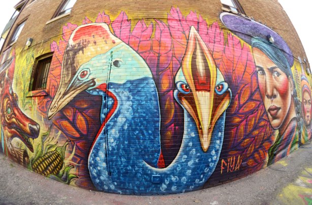 part of a large mural - the head and neck of two colourful birds by the street artist fiya