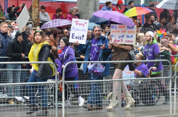 people at a pride parade on a rainy day - a group of asexual people walk past holding sings, "trans asexuals exist" and "it's not that you're not sexy, it's just that I don't care"