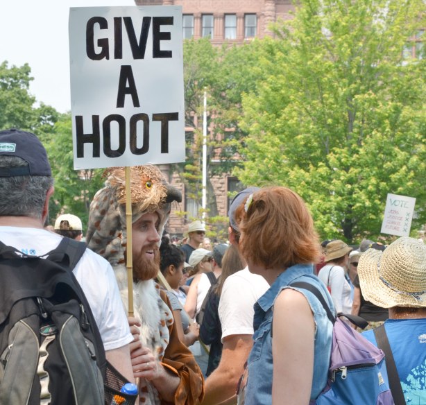 At the jobs, justice and climate action protest rally, a man wearing a hat that looks like an owl head.  He's carrying a sign that says 'Give a hoot' 