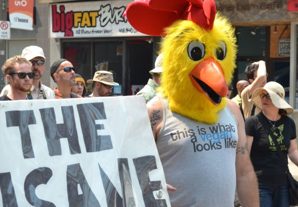 A man is walking in a protest march while holding one end of a banner.  He is wearing a large yellow chicken head and a T shirt that says 'this is what a vegan looks like'