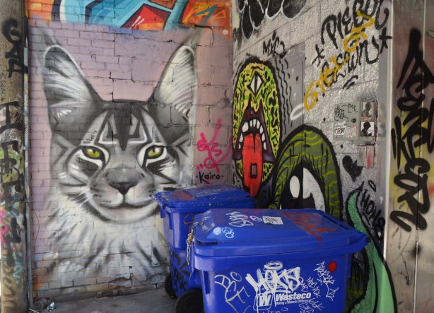 Graffiti Alley - in a corner, a grey tones painting of a cat's head, blue recycling bins in front of it and partially obscuring one corner. 