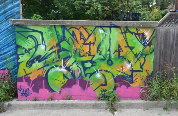 cruz1 street art that looks like leaves or green abstract letters on a fence