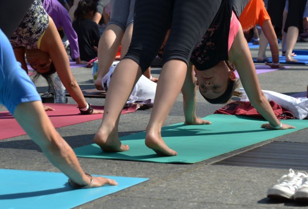 men and women at a yogathon - doing yoga outside in a large group - downward dog time
