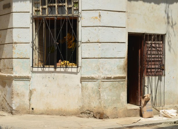 picture taken in the old part of the city of Havana Cuba - a building on a corner, metal bars over window, bananas in the window for sale. Door open