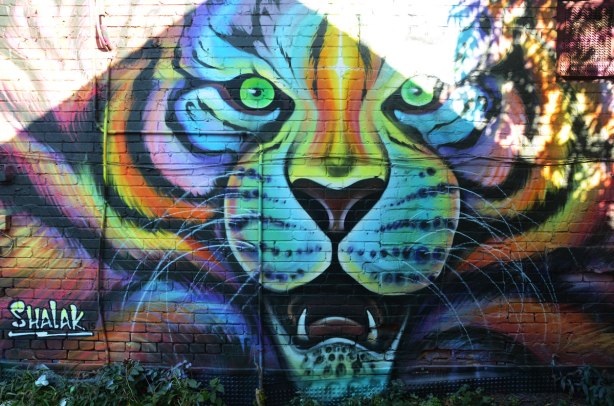 A shalak painting of a large tiger head with mouth open and teeth showing. Multicoloured, painted on a wall in an alley. The sun is shining directly on part of it so its a bit washed out in places.