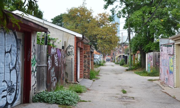 view down an alley late in summer when there are leaves on the trees and lots of weeds growing at the edges of the pavement