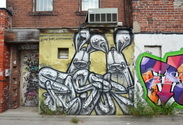 Two large poser bunnies on a wall in an alley